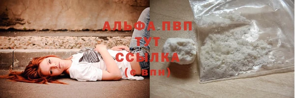 соль ск Осташков