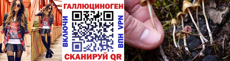 Галлюциногенные грибы MAGIC MUSHROOMS  Таруса 